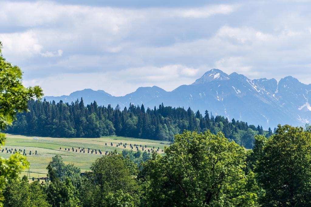 Chata Na Brzysku Pod Bialka Leśnica エクステリア 写真