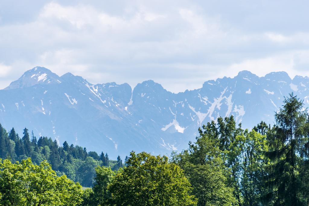 Chata Na Brzysku Pod Bialka Leśnica エクステリア 写真